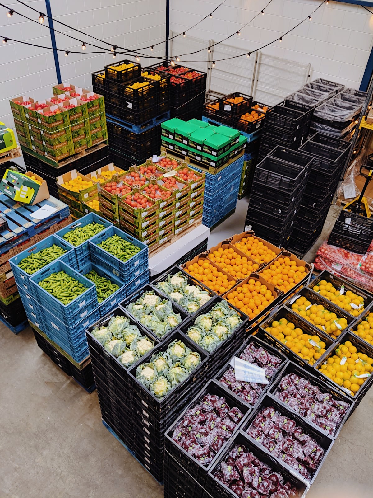 Het Food Rescue Center van InstockMarket